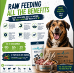 Benefits of Raw Feeding