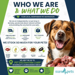 Who we are & What we do